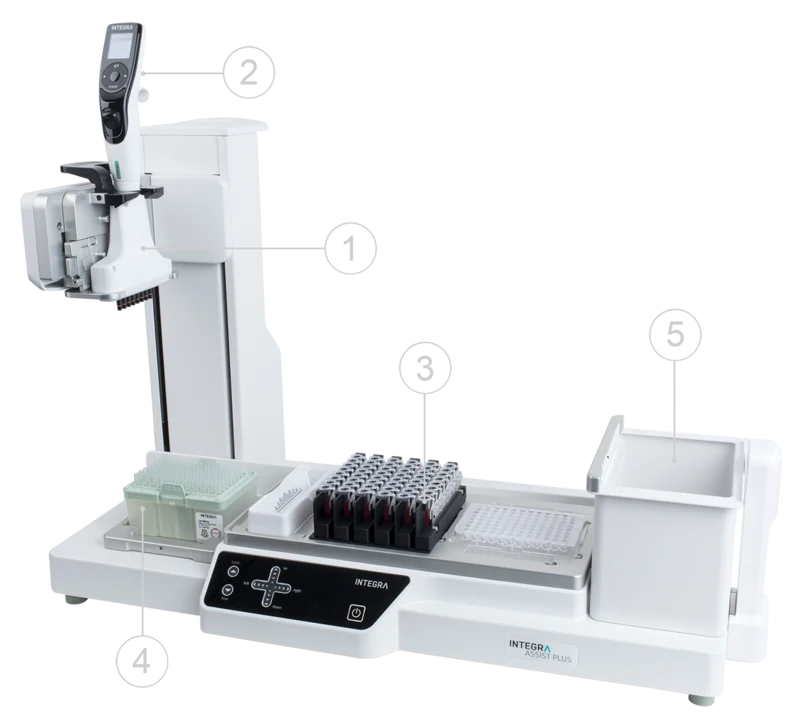 免疫球蛋白 (IgG)亲和纯化的自动化方案